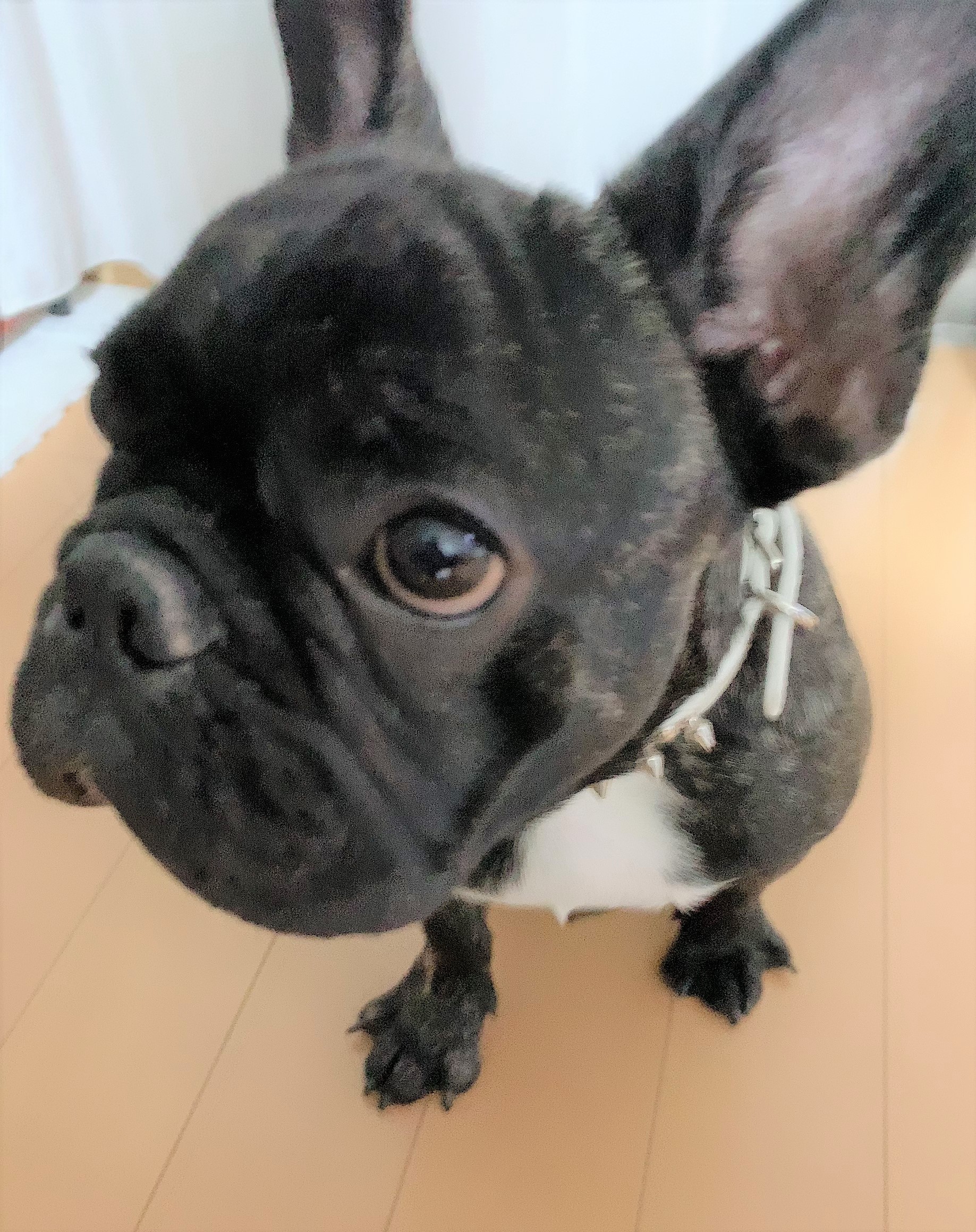 ちゅら