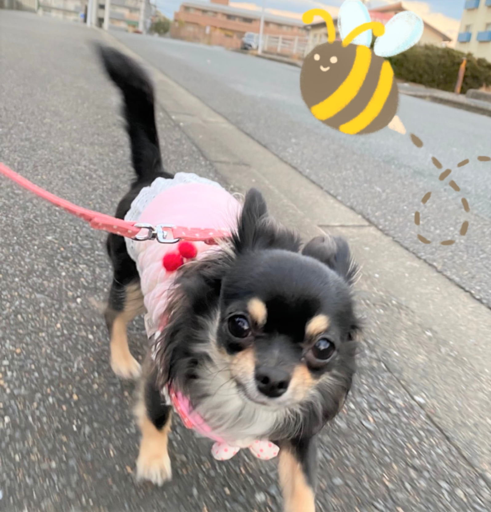 もも