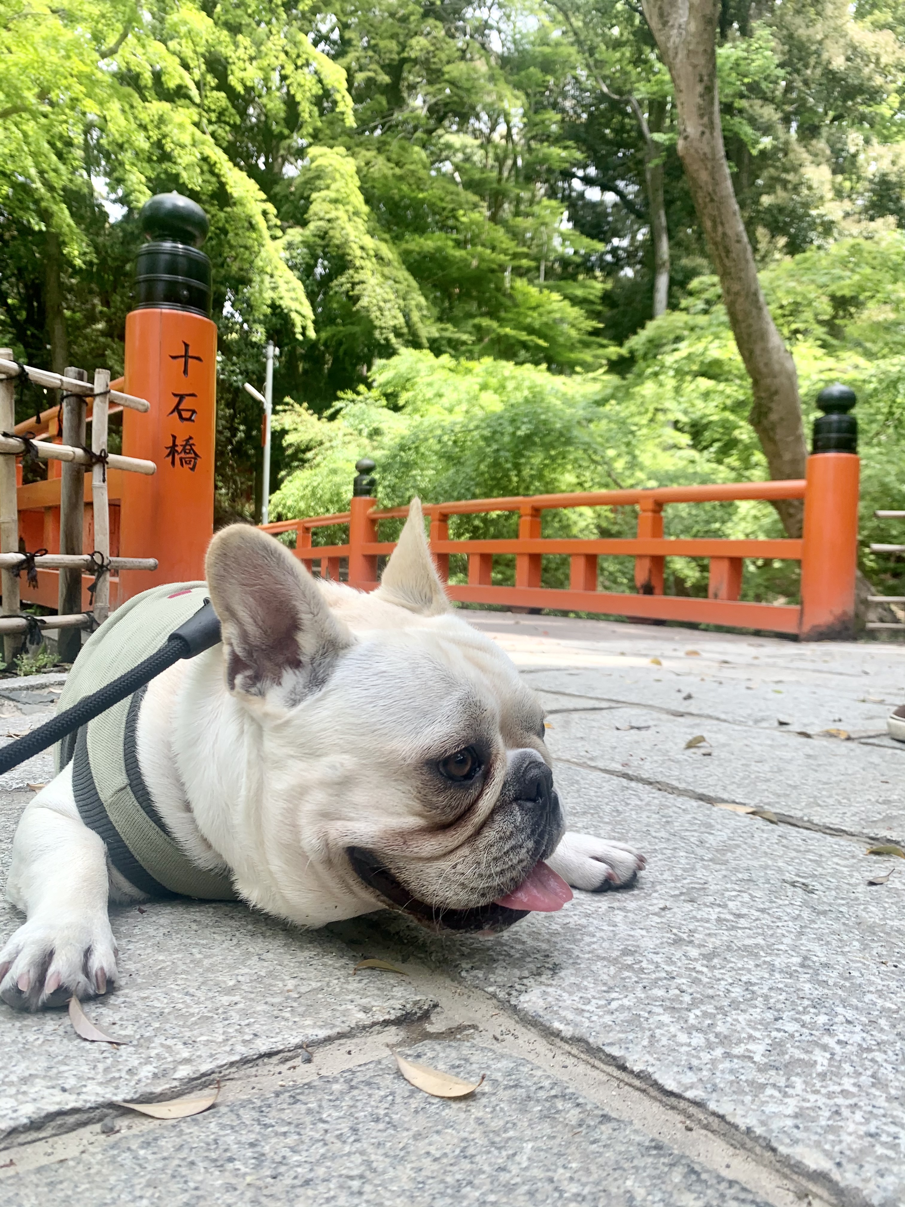 くう