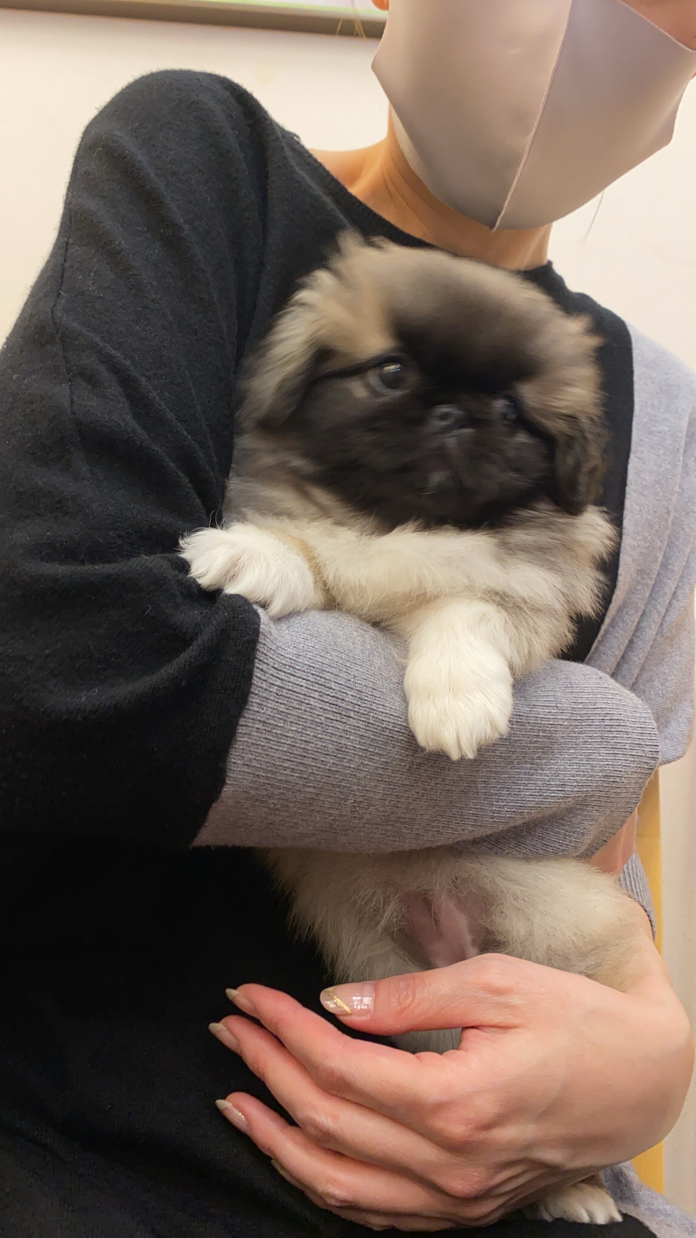 うた