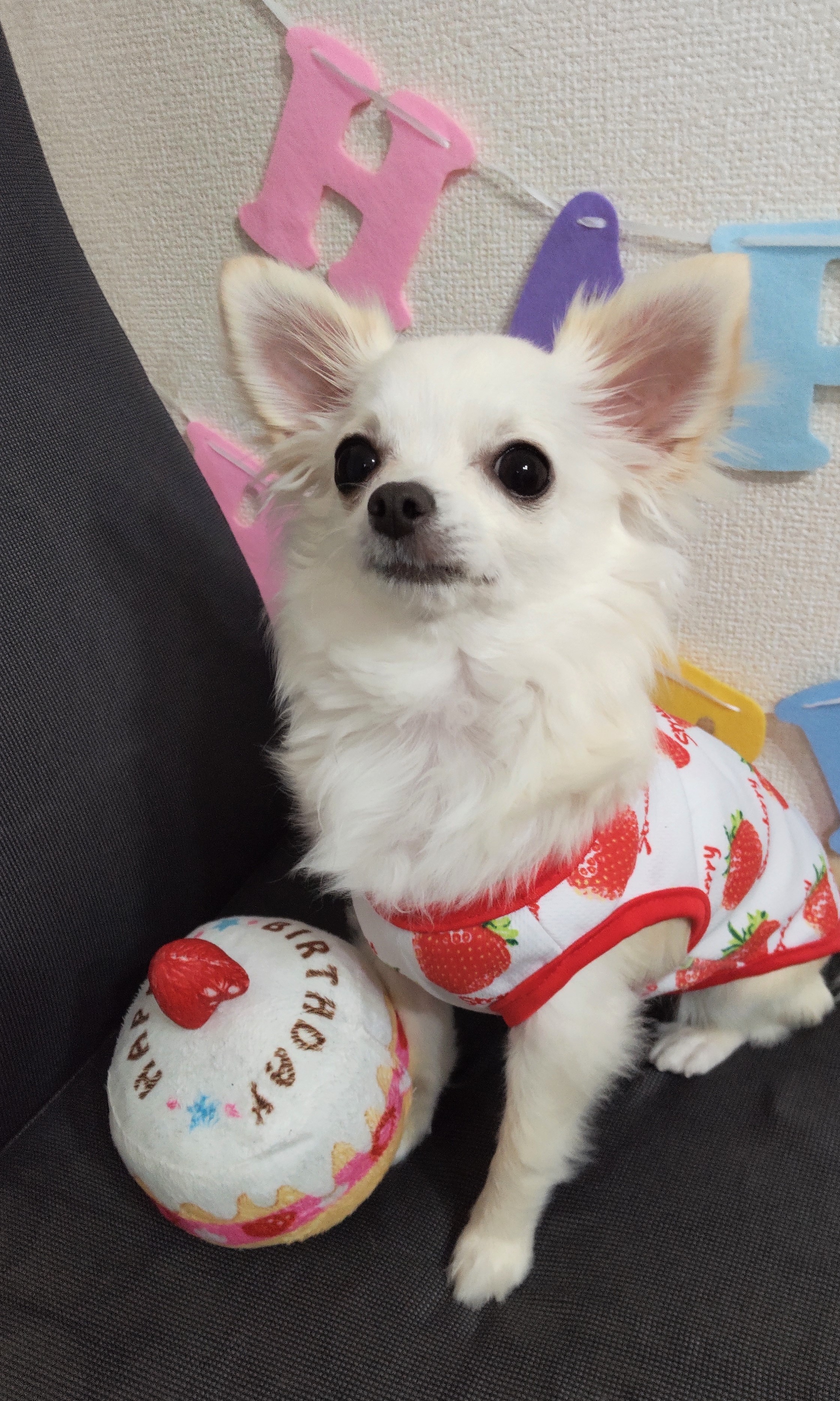 ハッピー