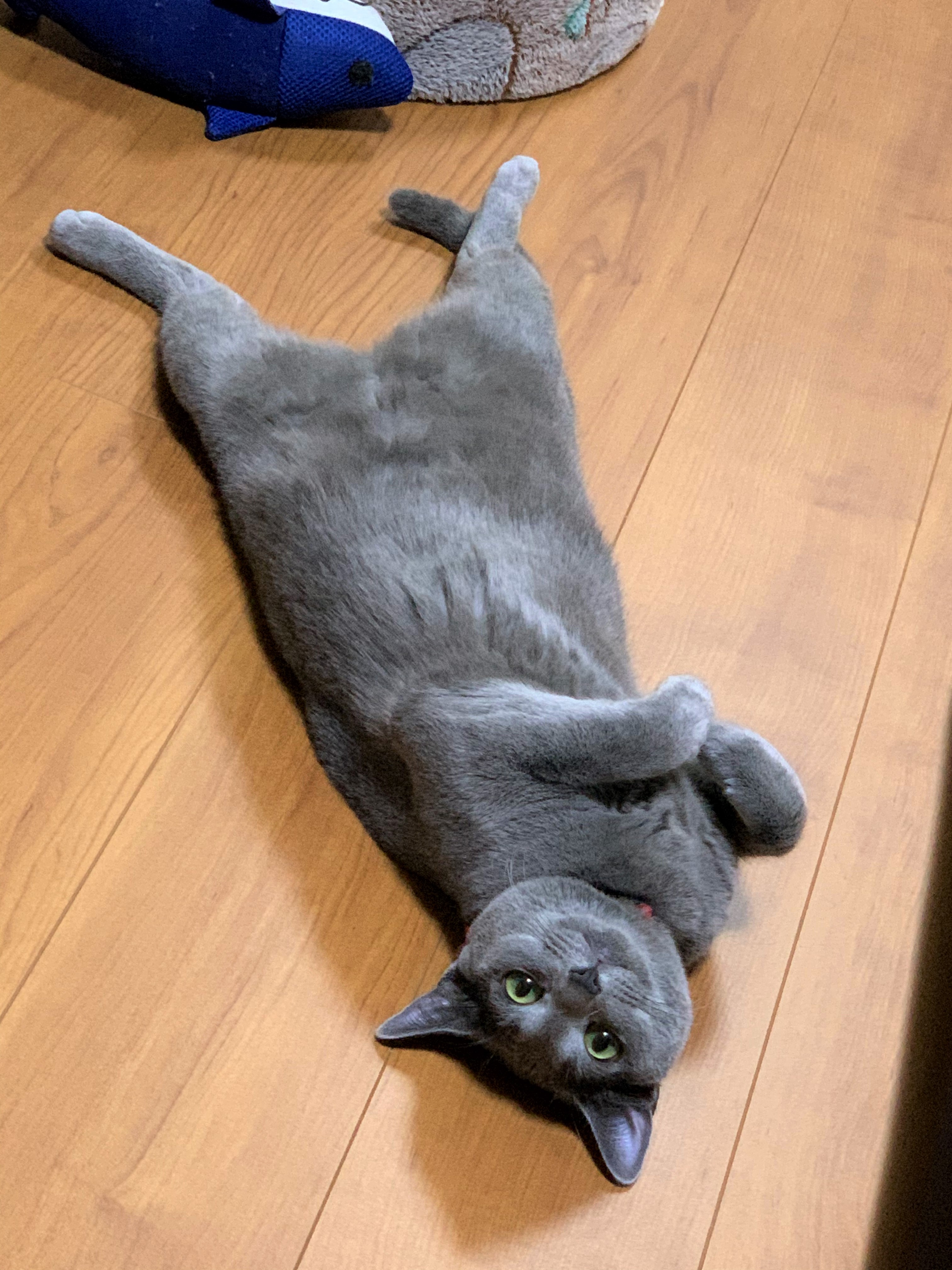 りり