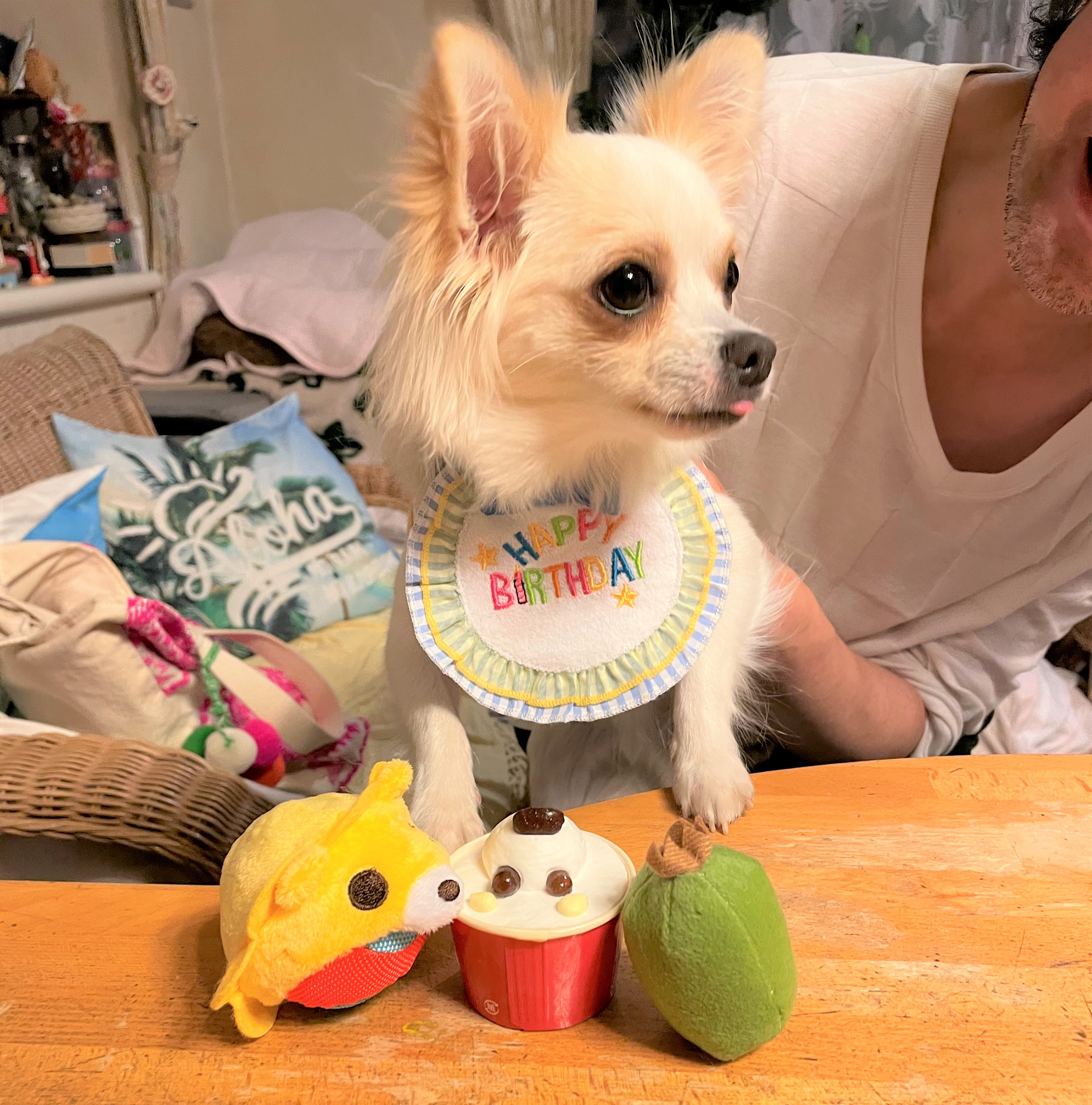 ヘンリー