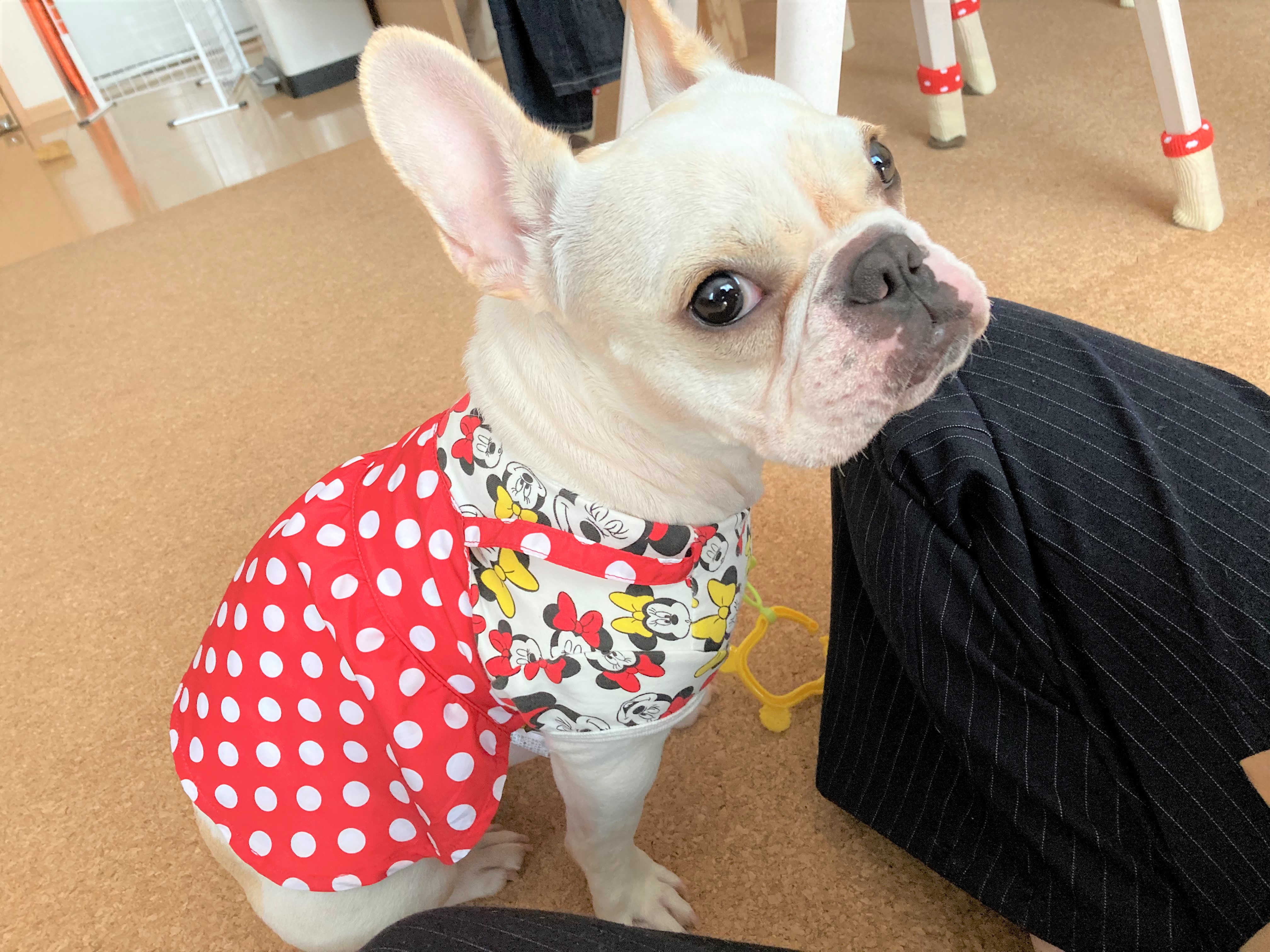 おすし