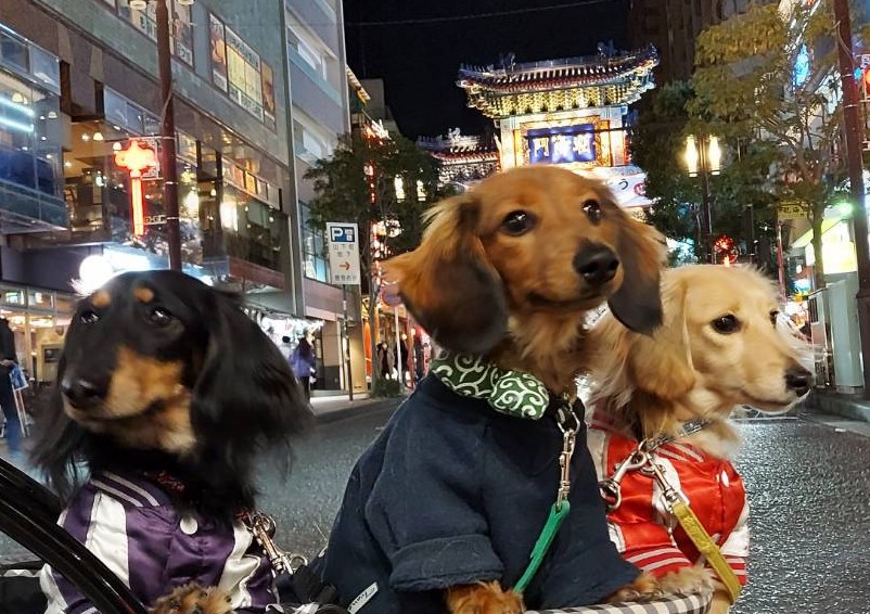 みかん&まろん&ぎんなん