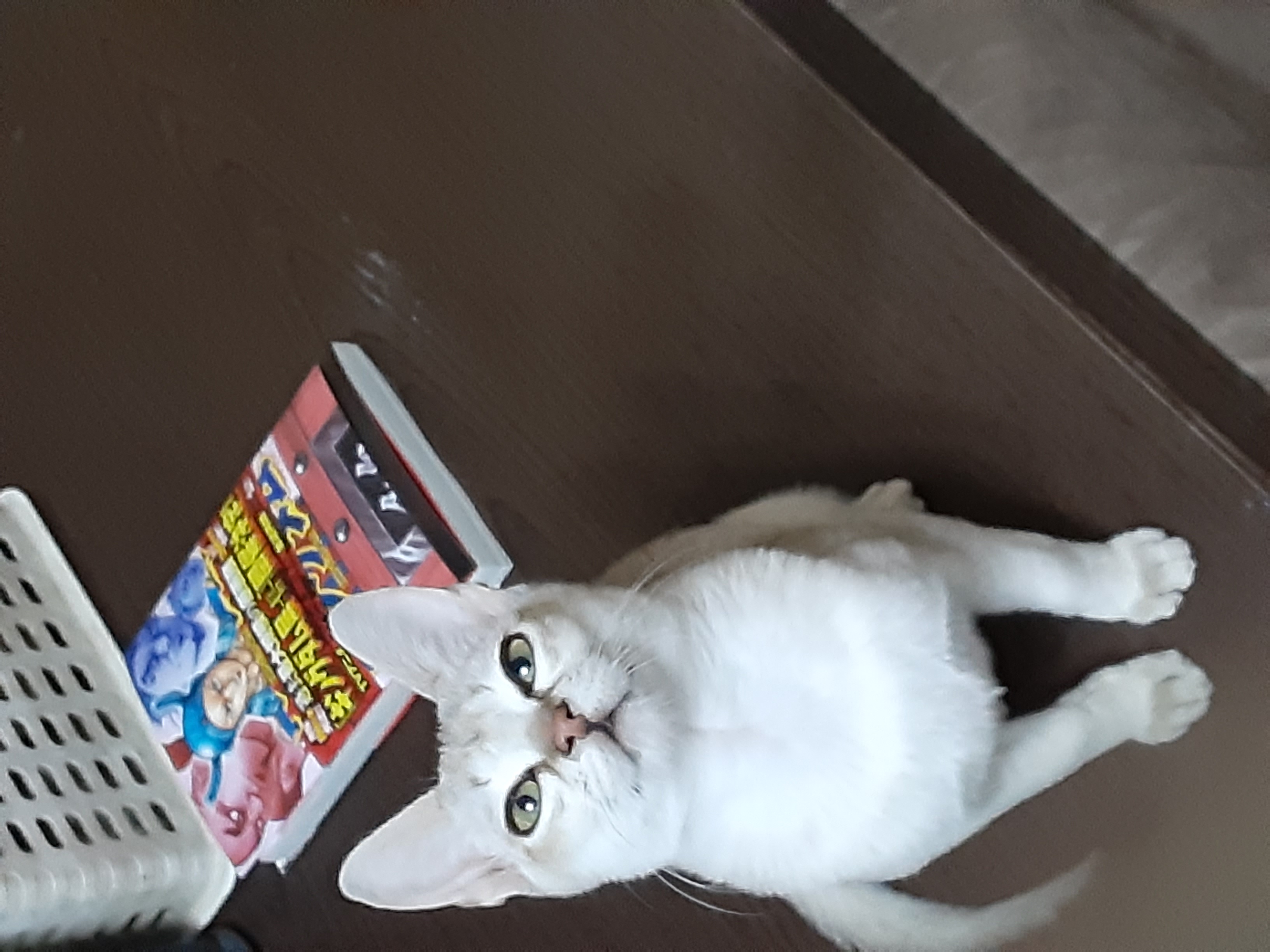 善