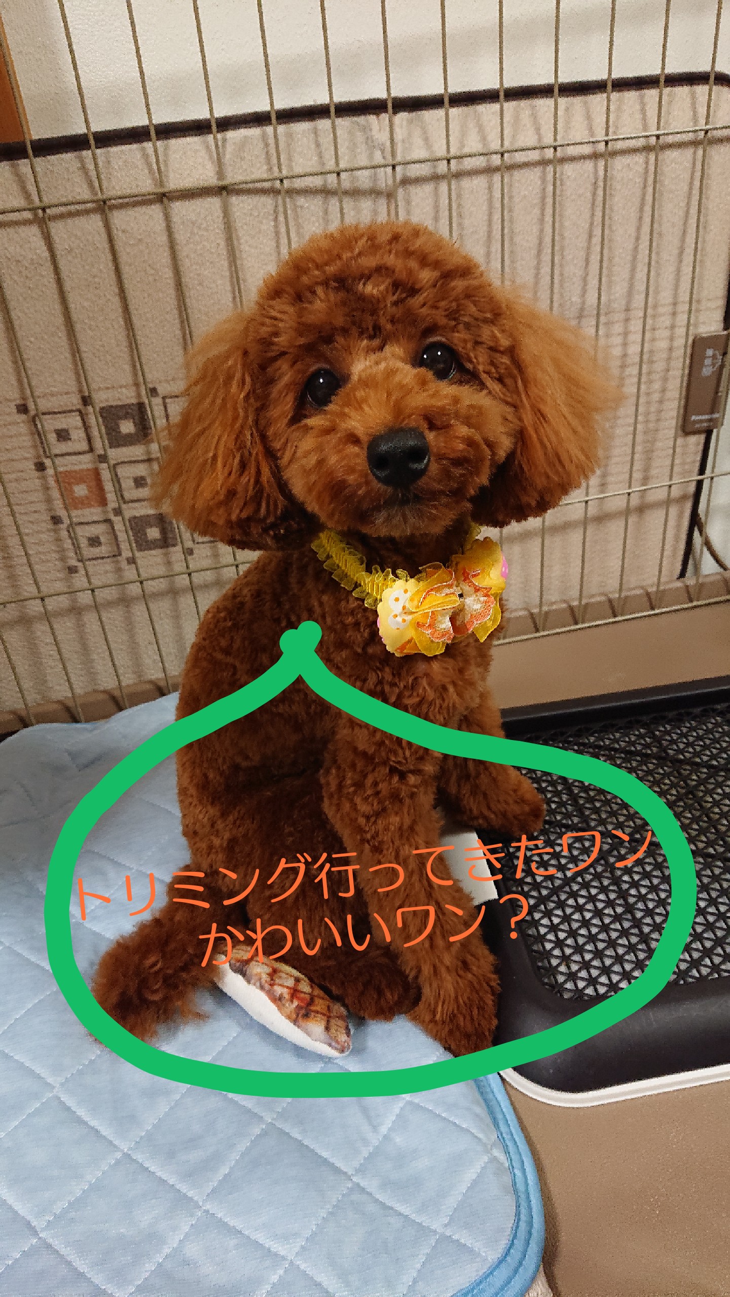 けん
