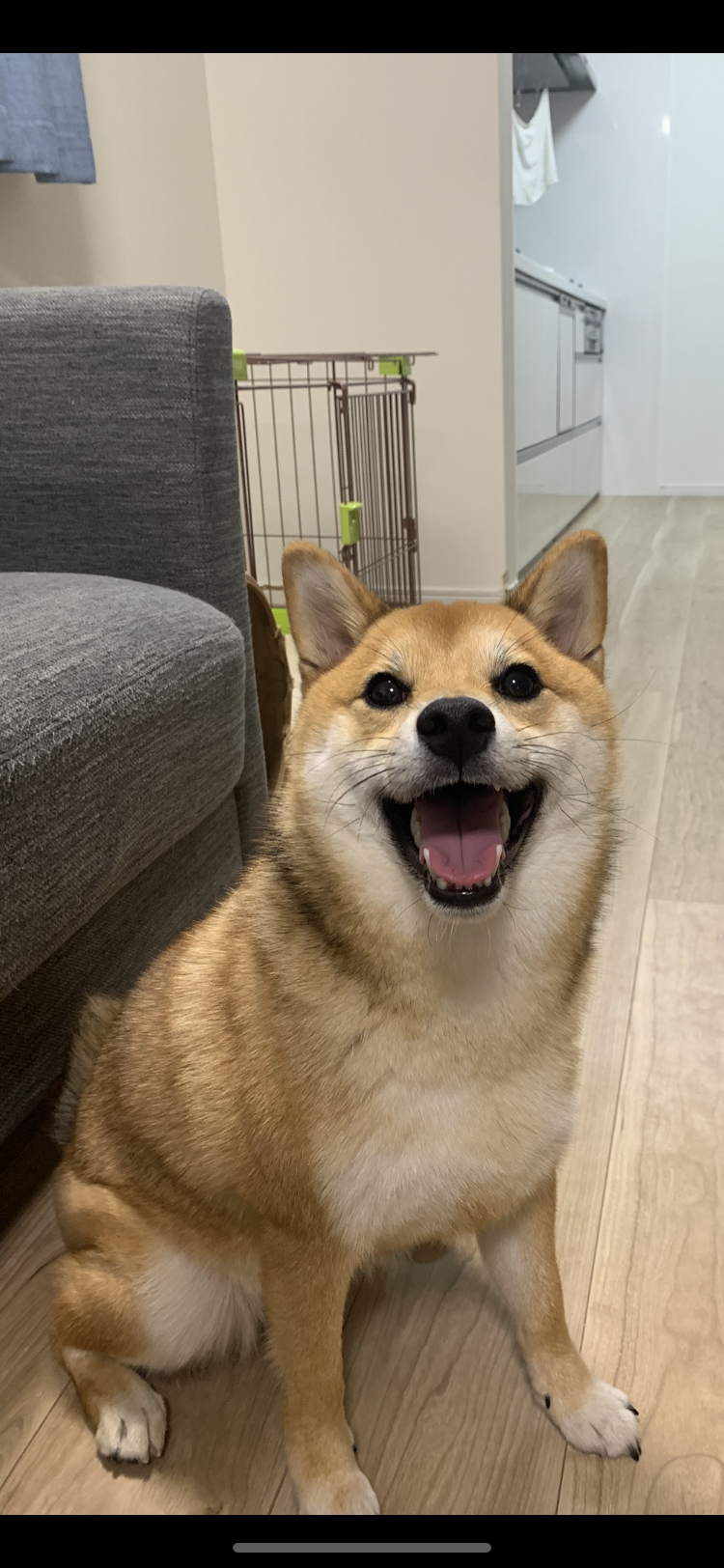 凛