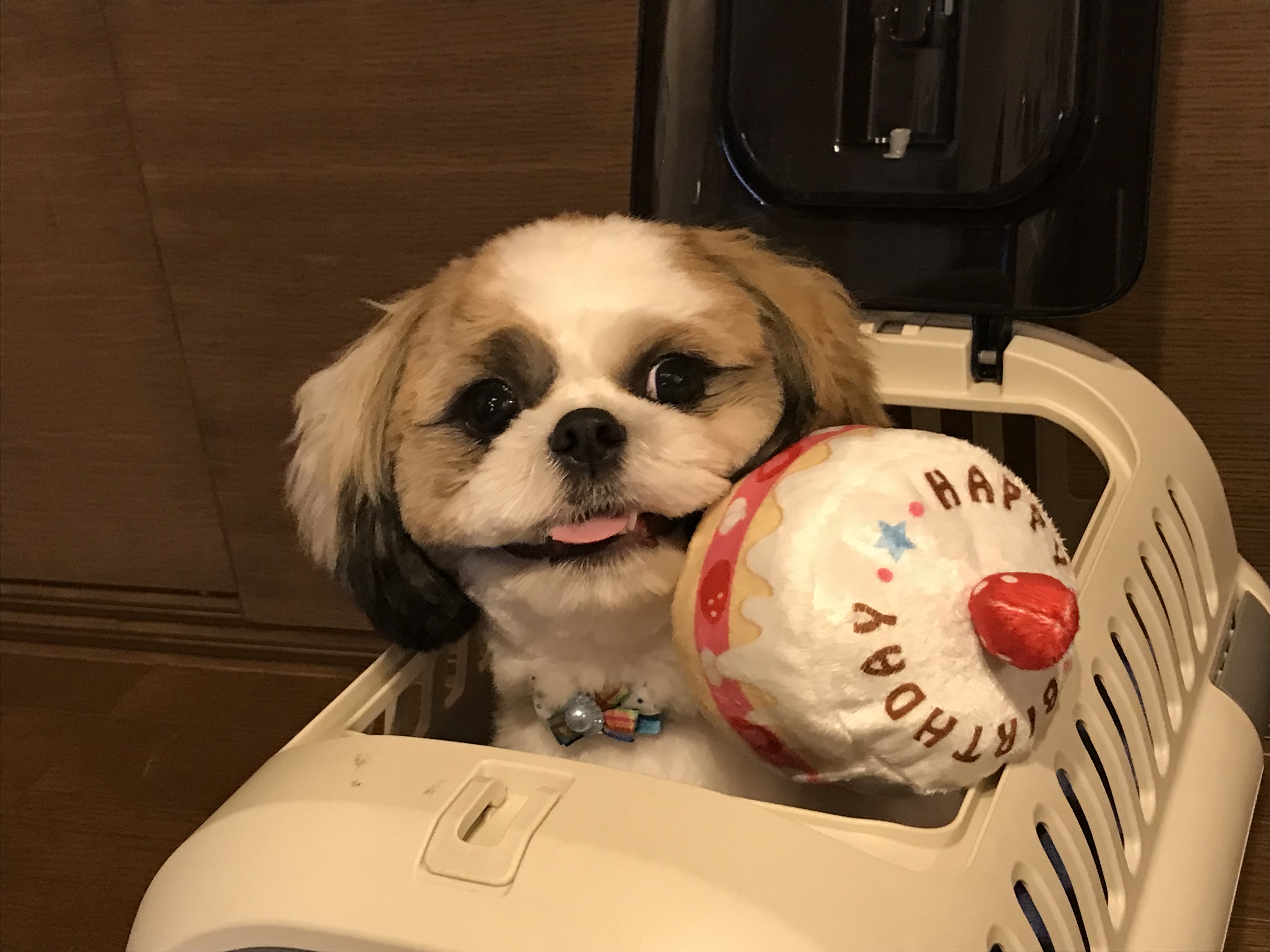 てん