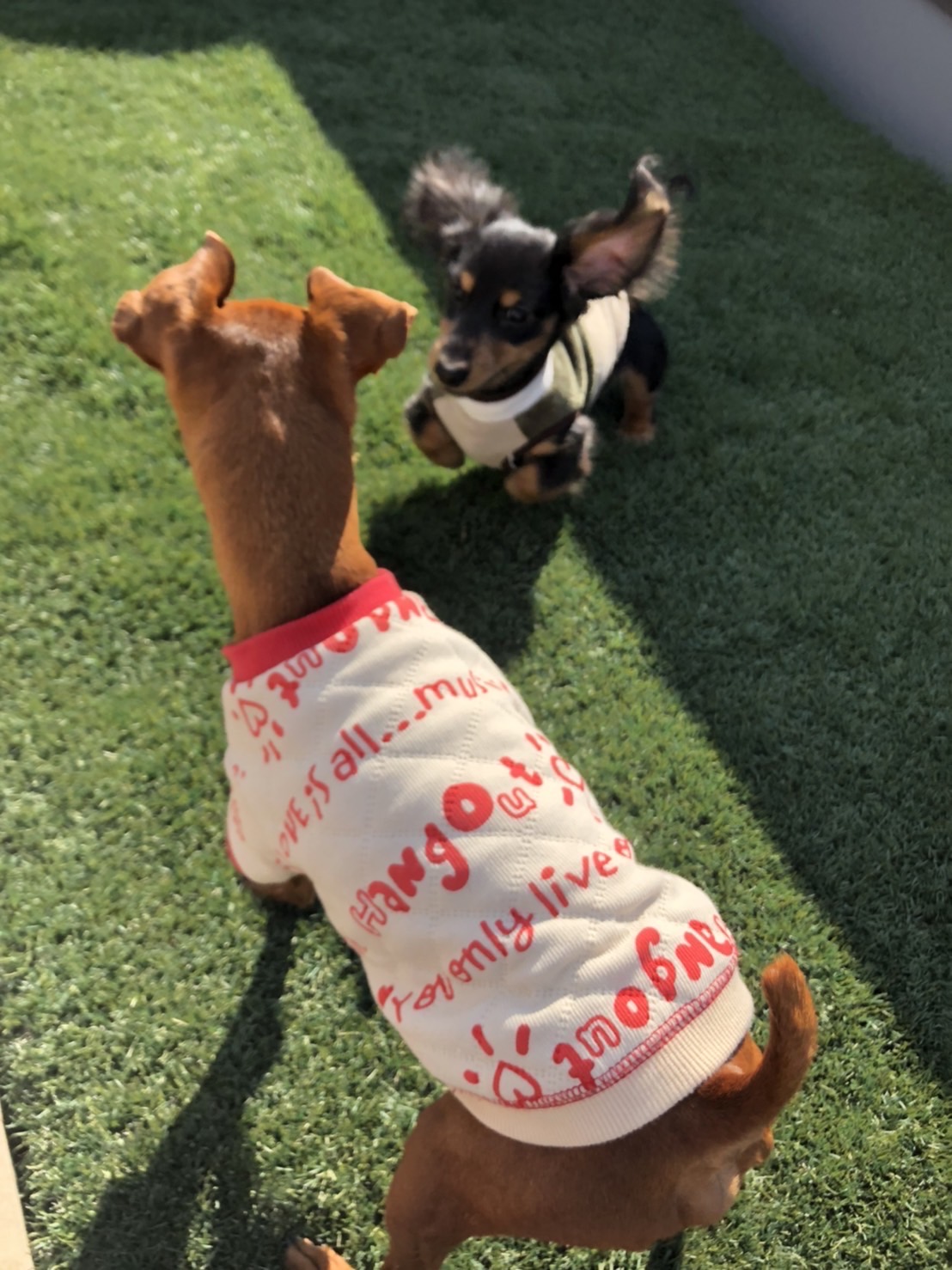 ピリ&SOARA