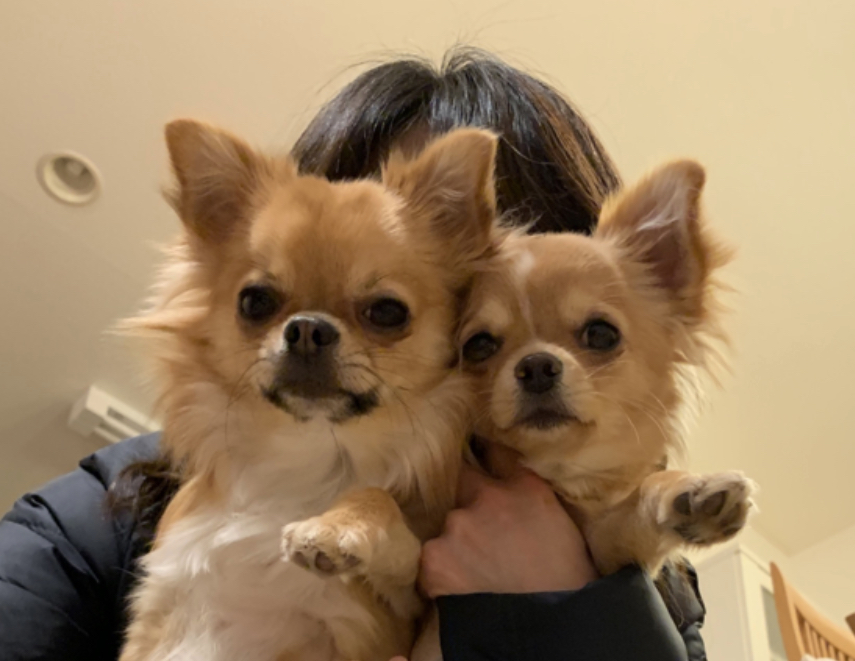 マロン&きなこ