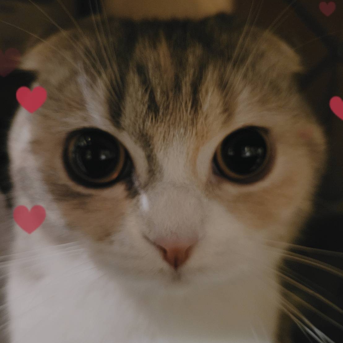 みるく