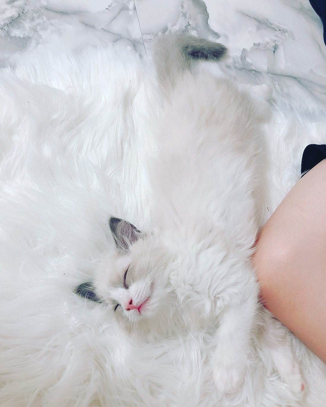 うらら