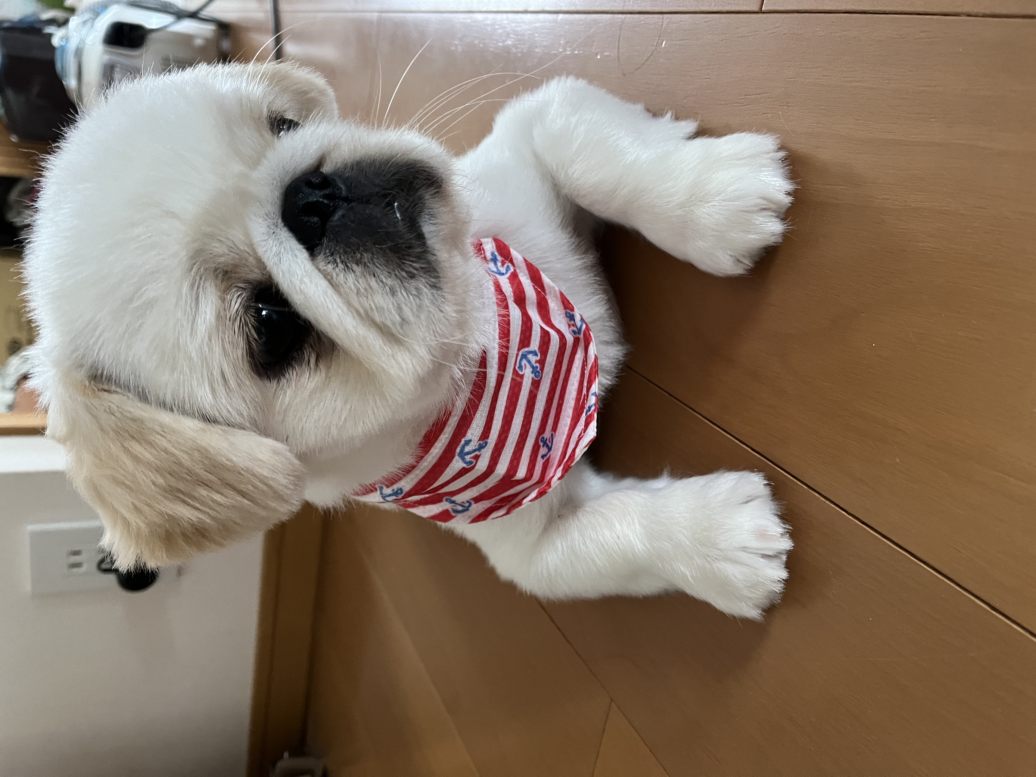 おむすび