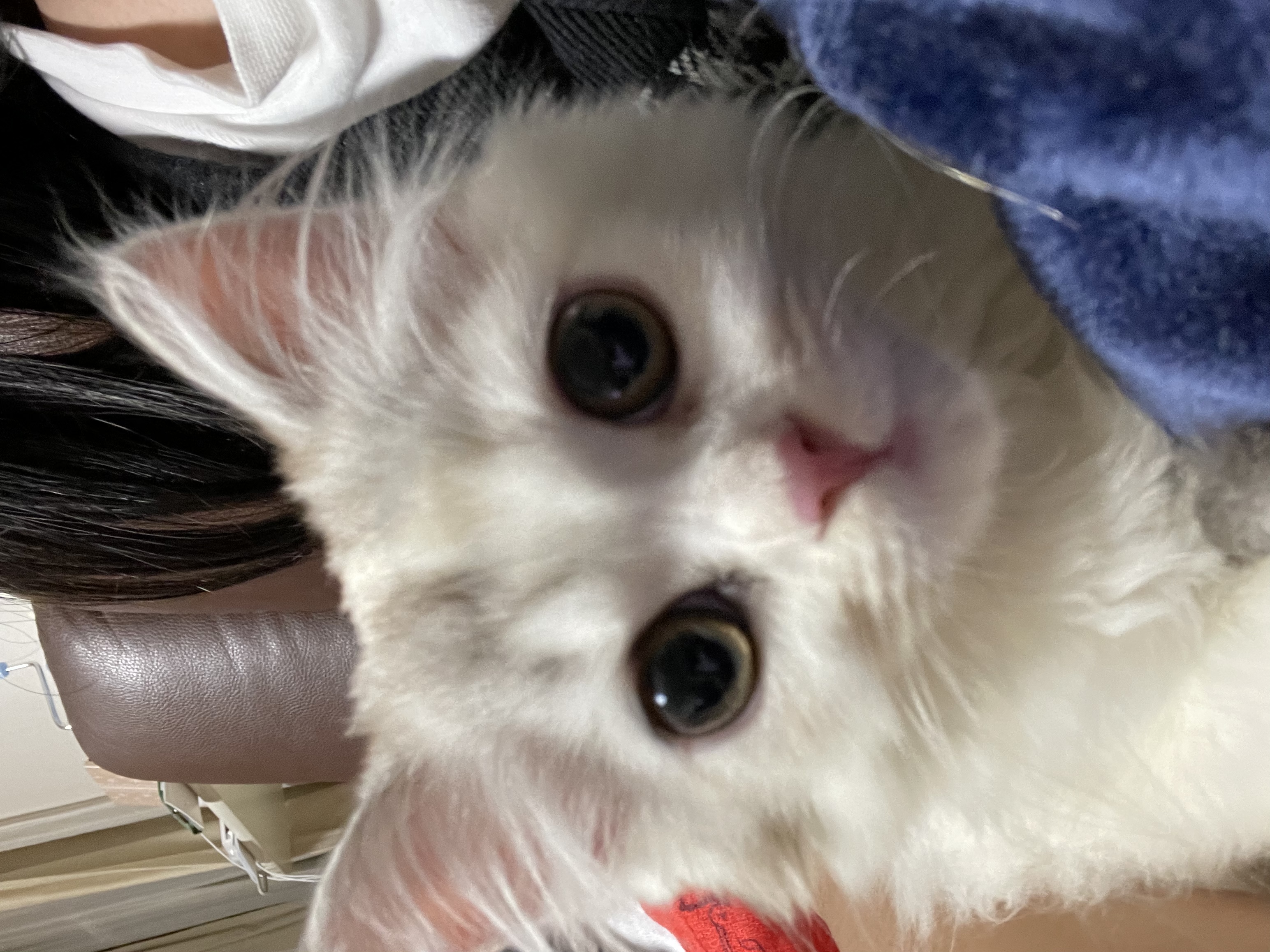 むぎ