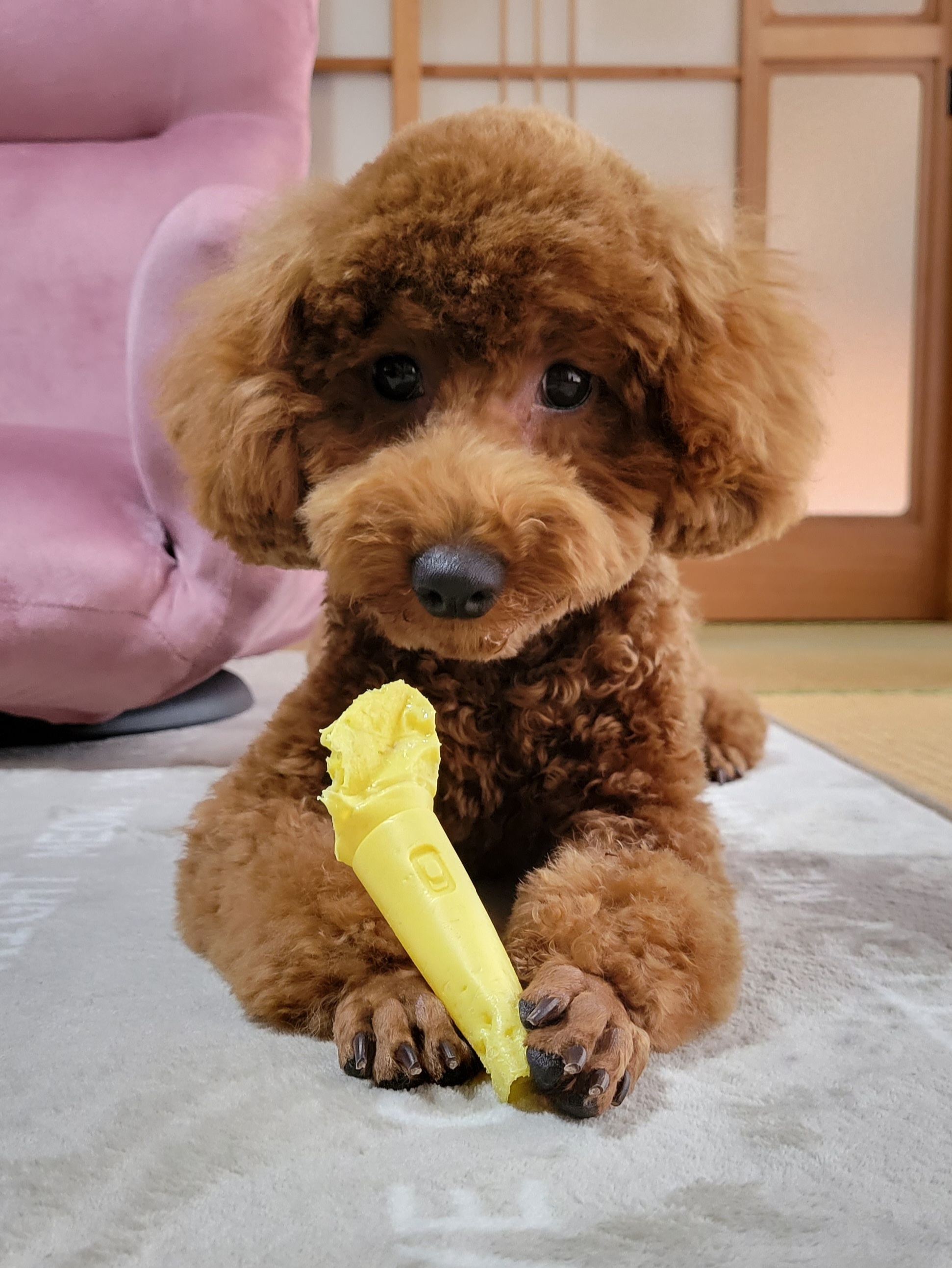 リリ