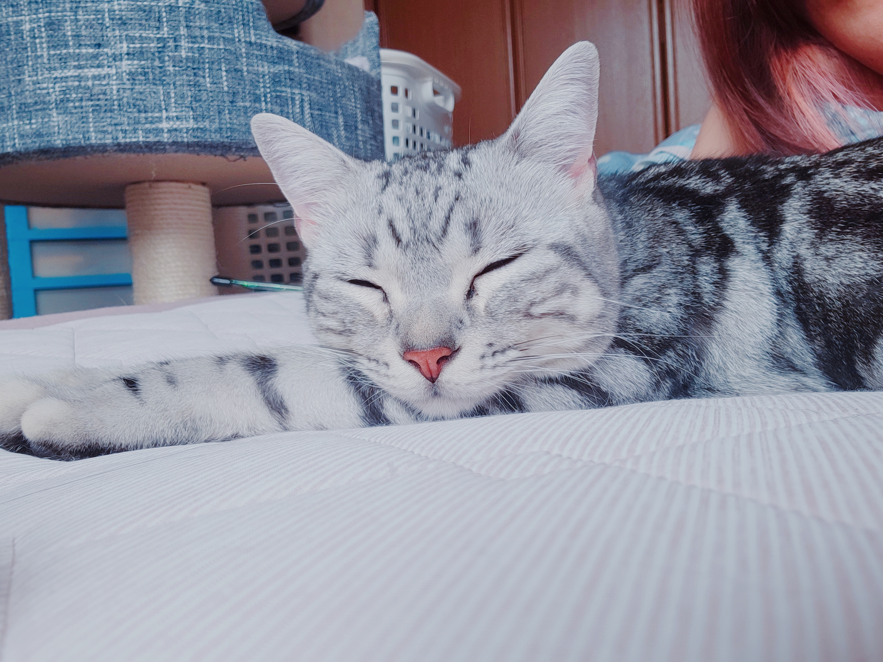 ビター