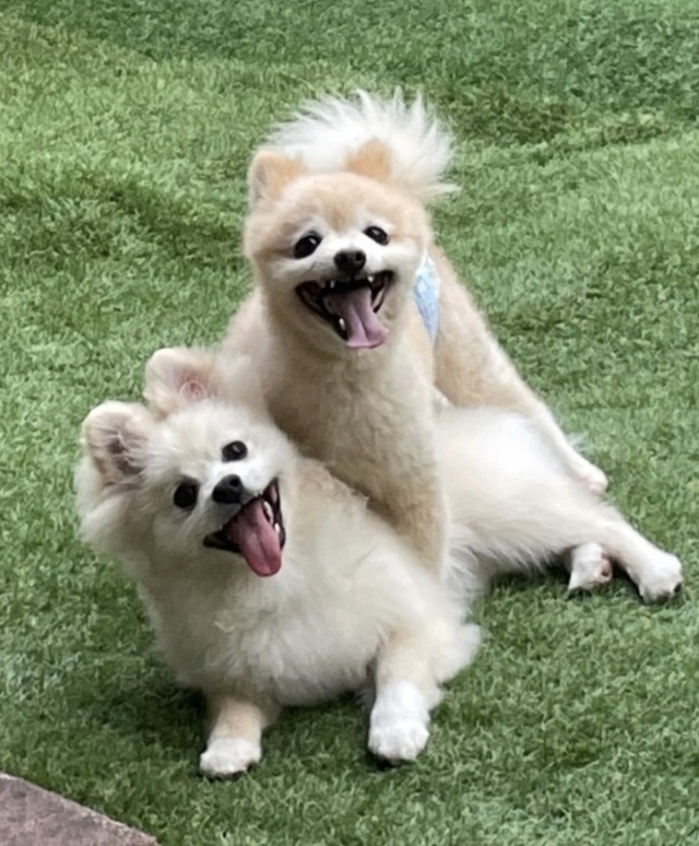 福丸&そら丸