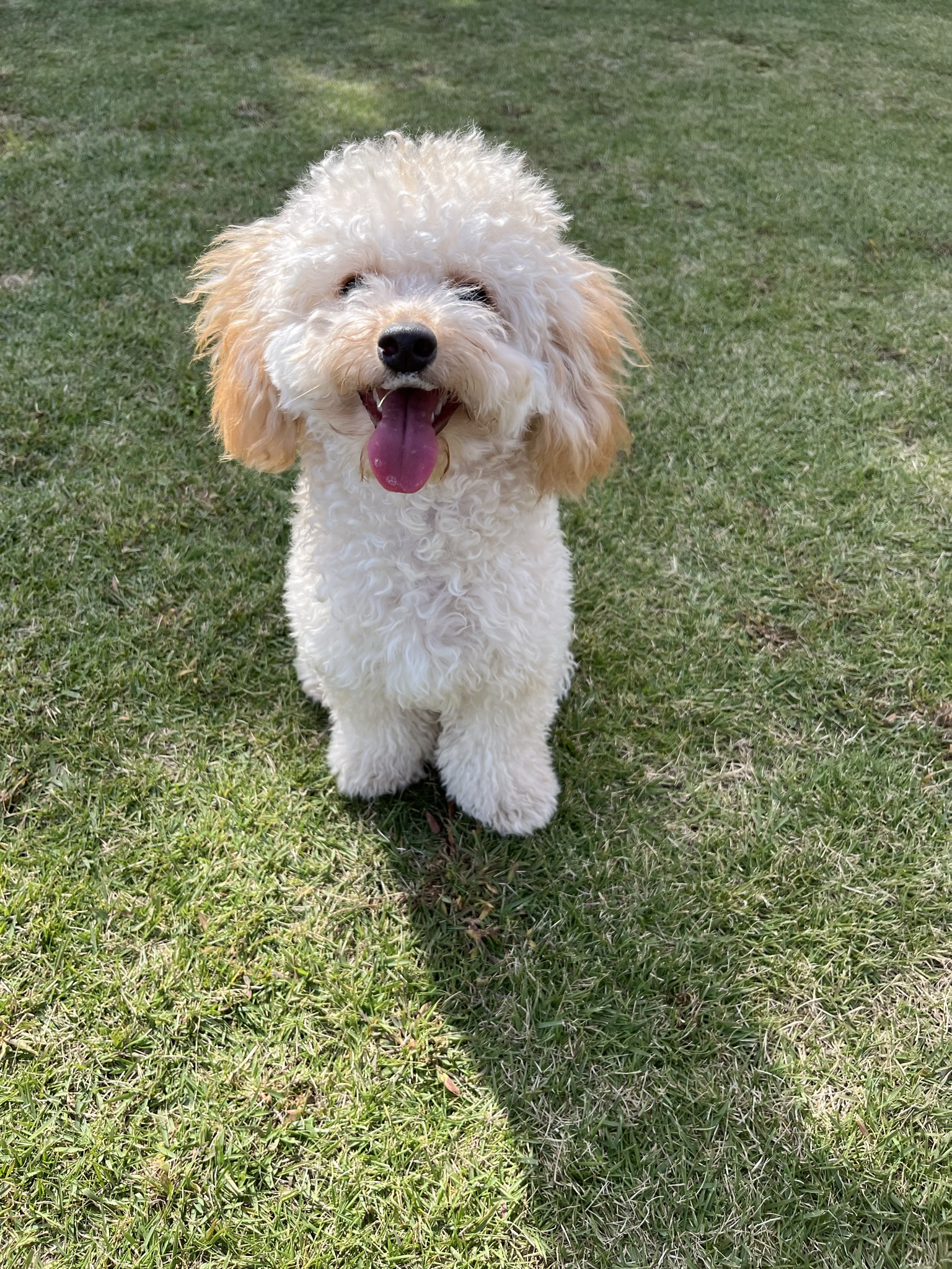 天
