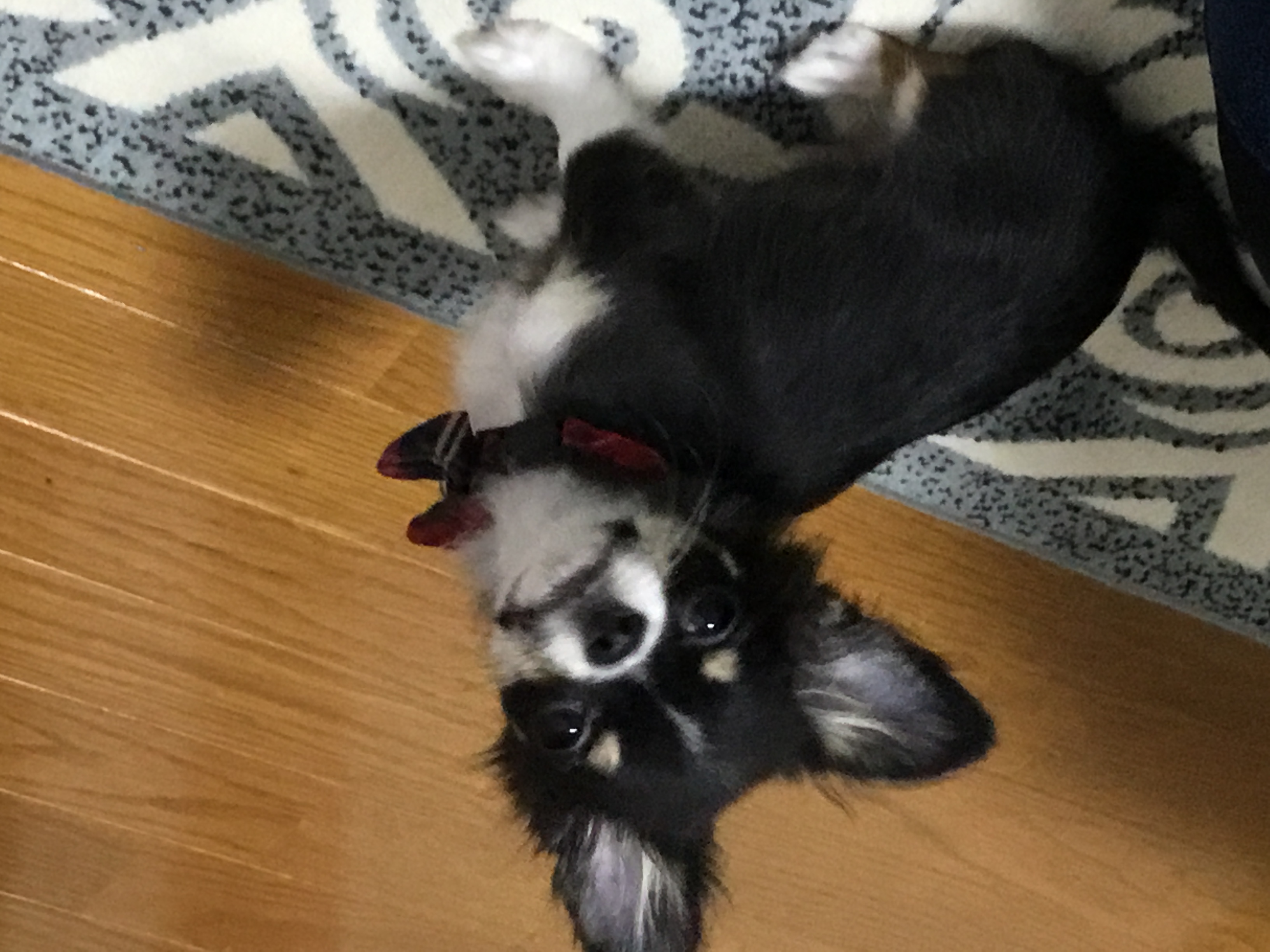 らむね