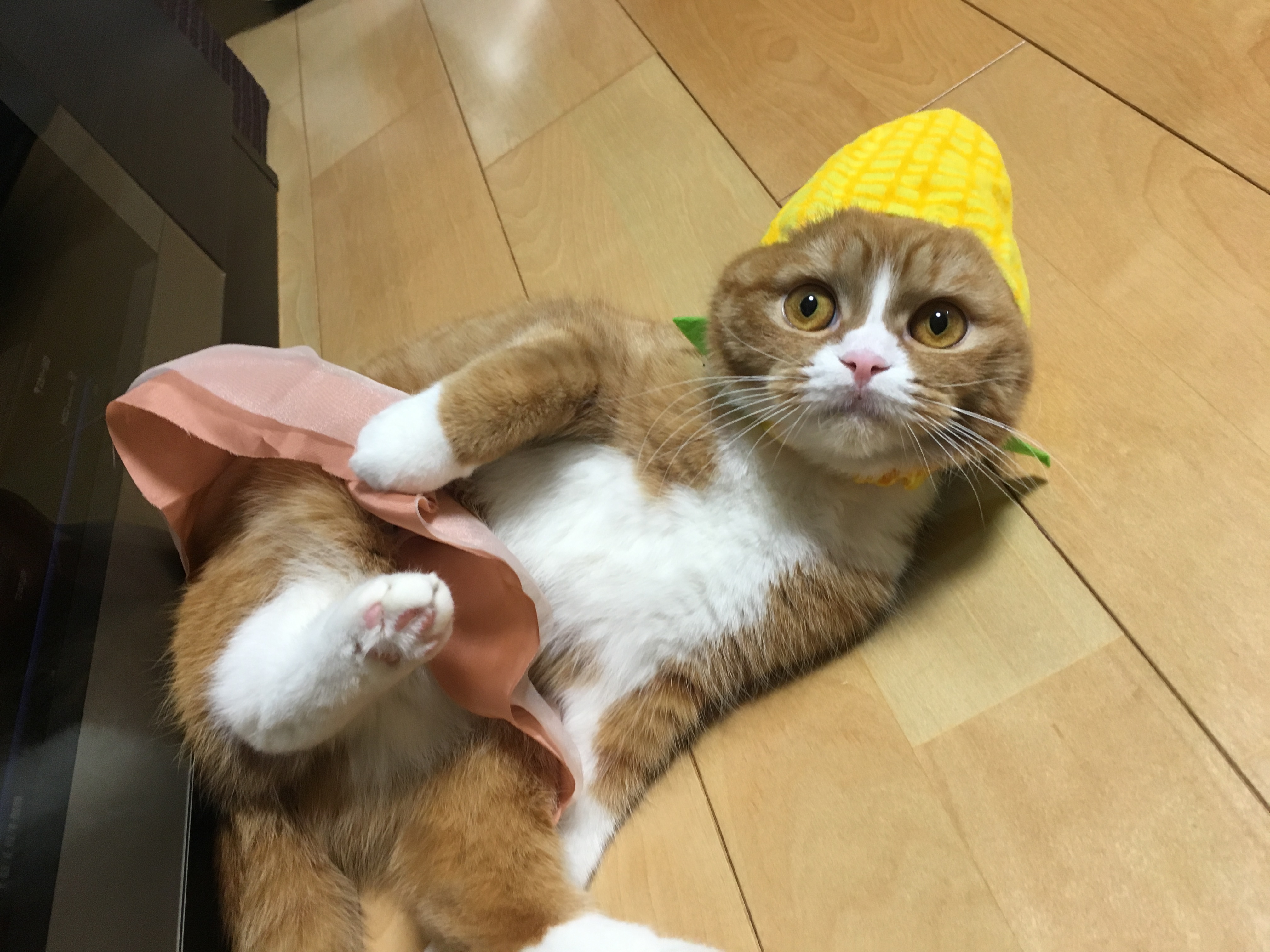 まる子