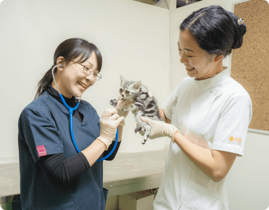 獣医師