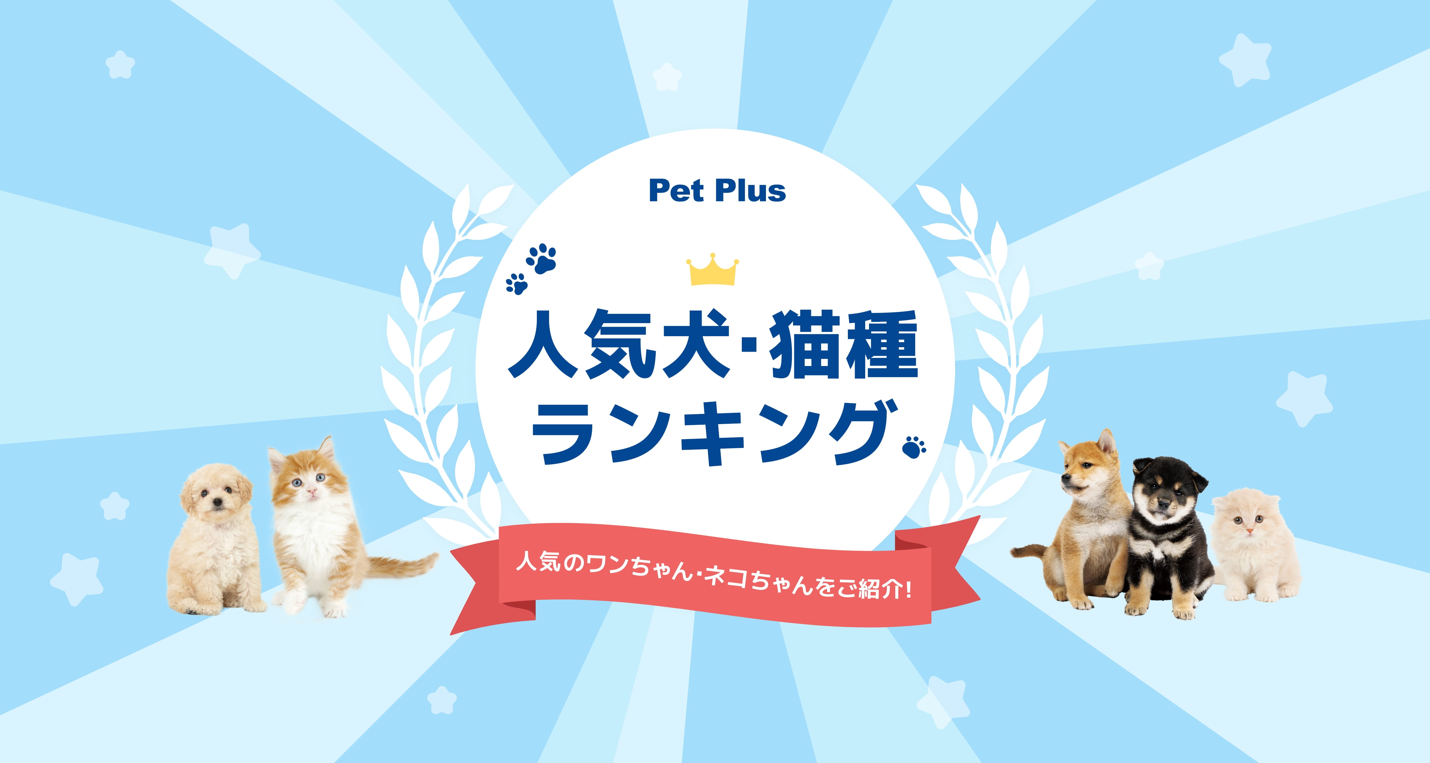 人気犬・猫種ランキング 人気のワンちゃん・ネコちゃんをご紹介!