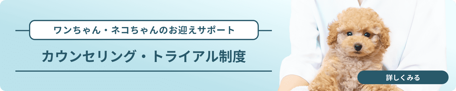 ワンちゃん・ネコちゃんのお迎えサポート。カウンセリング・トライアル制度。詳しくみる