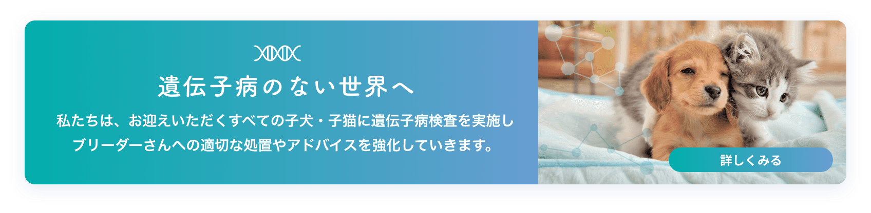 遺伝子病のない世界へ 私たちは、お迎えいただくすべての子犬・子猫に遺伝子病検査を実施しブリーダー様への適切な処置やアドバイスを強化していきます。 詳しくみる