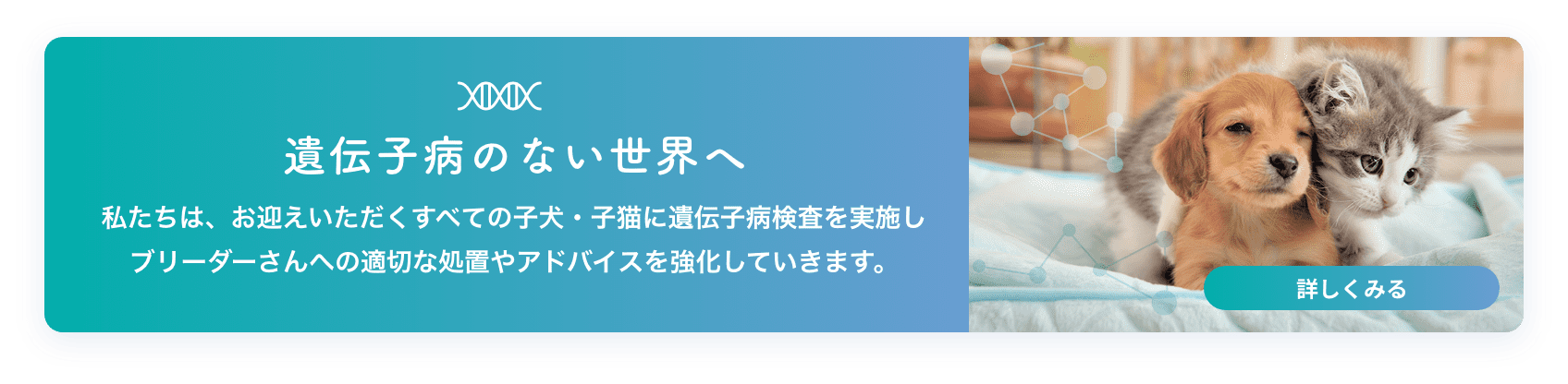 遺伝子病のない世界へ 私たちは、お迎えいただくすべての子犬・子猫に遺伝子病検査を実施しブリーダーさんへの適切な処置やアドバイスを強化していきます。 詳しくみる