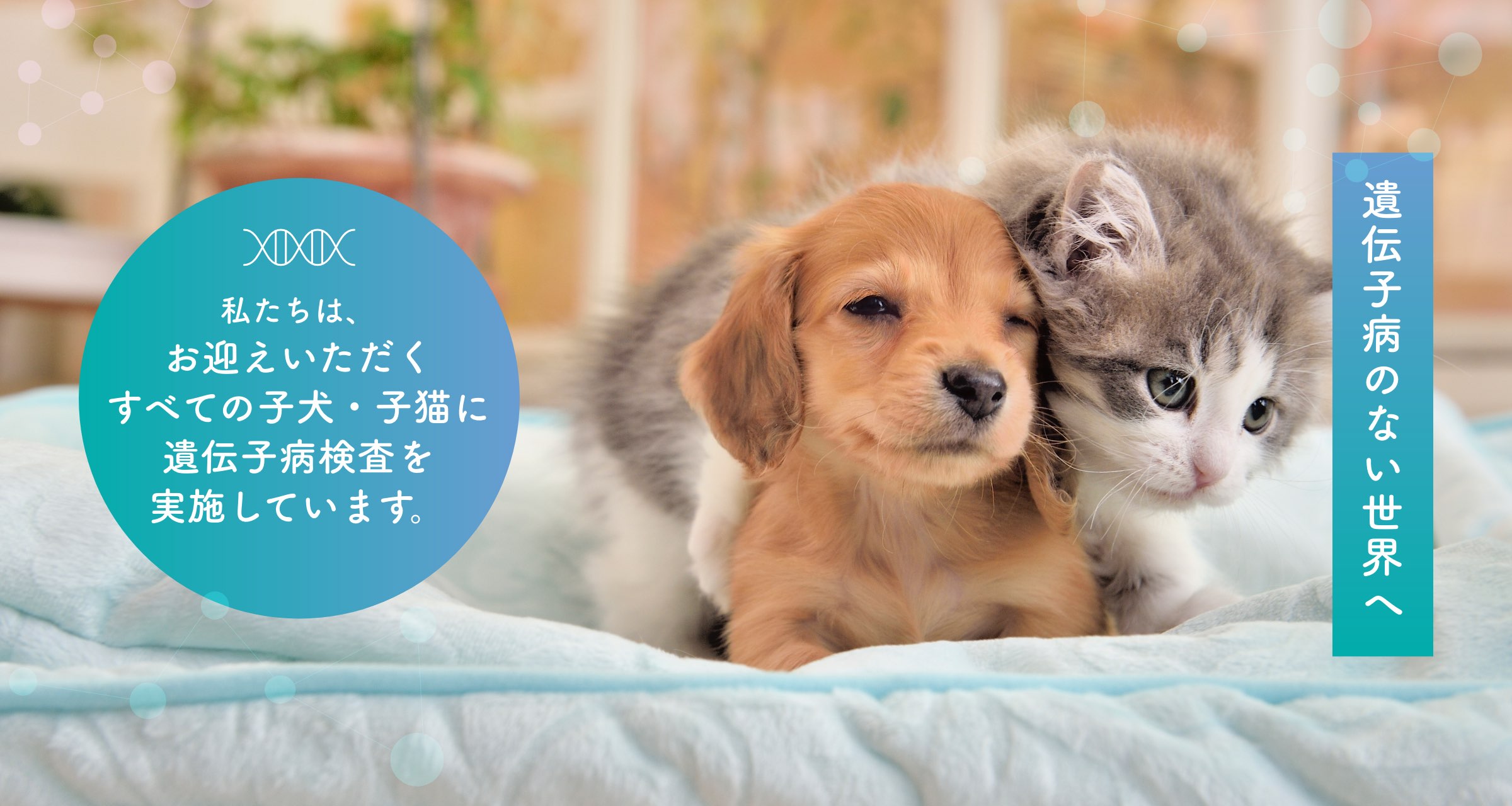 遺伝子病検査について