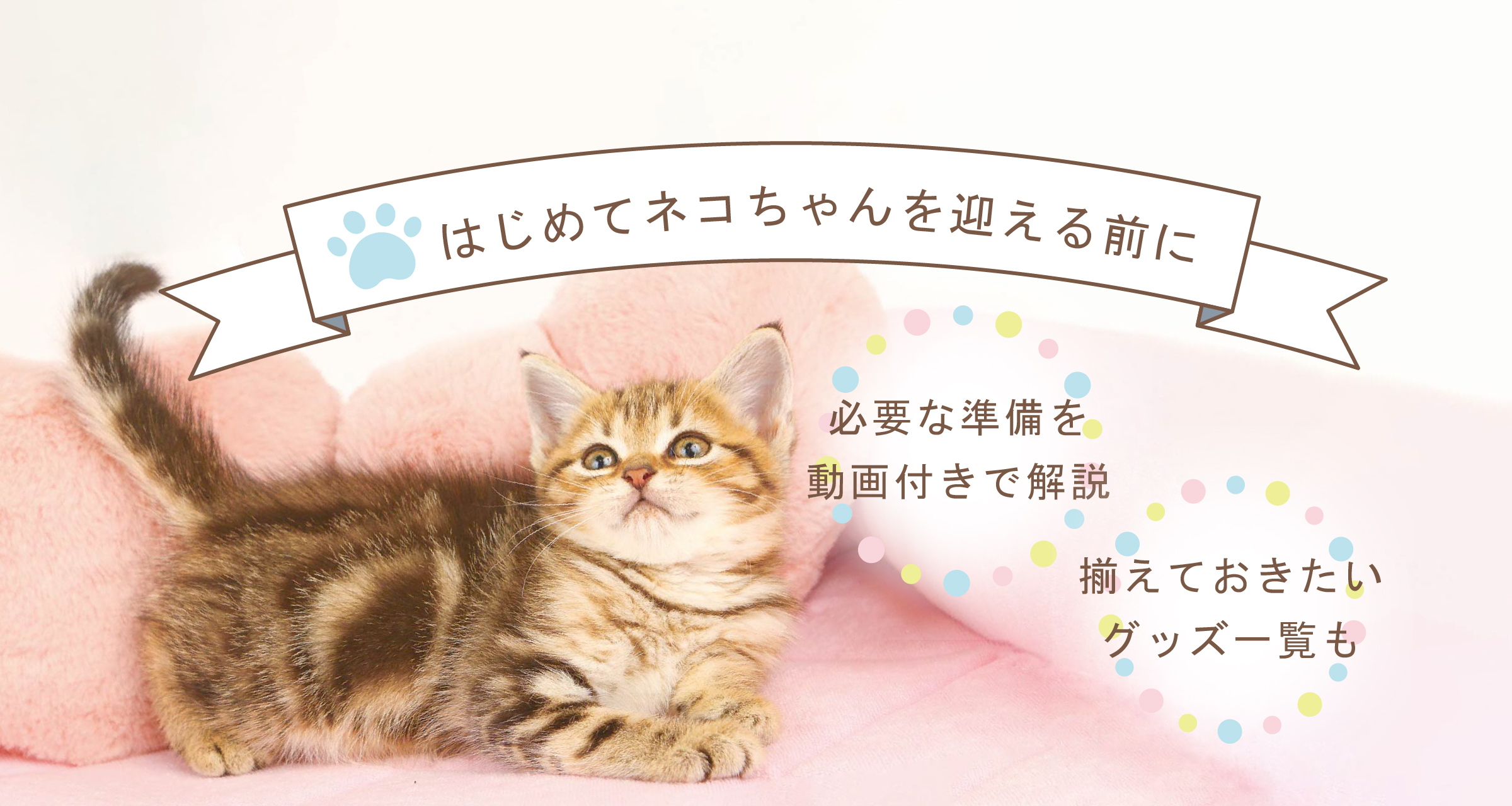 はじめてネコちゃんを迎える前に